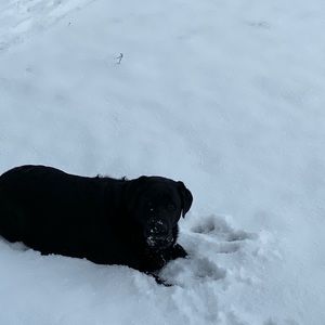 Meet your Posher, Louisette